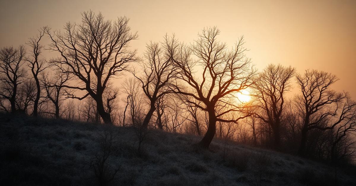 Bare winter trees representing patience, seasonal order and expected renewal
